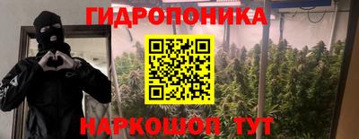 jwh Рузаевка