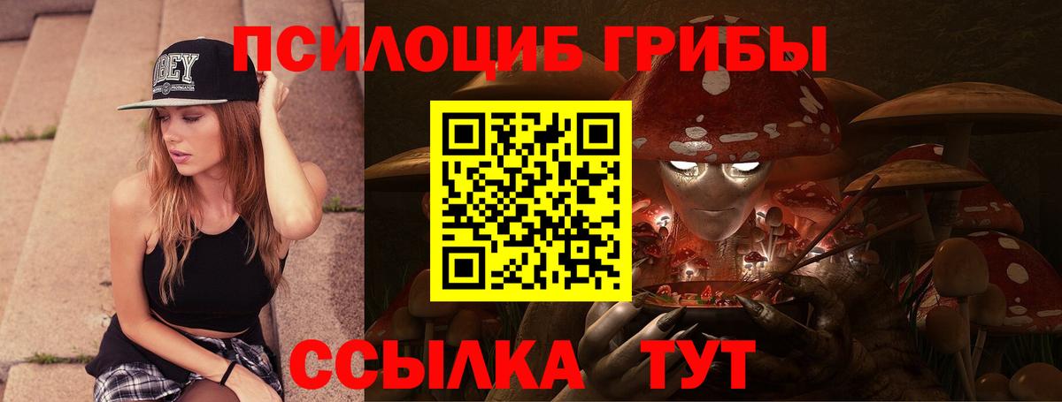 Псилоцибиновые грибы прущие грибы Светлоград