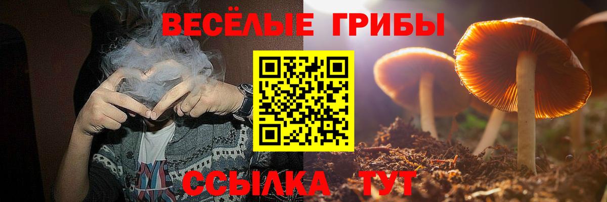 Светлоград  Псилоцибиновые грибы Psilocybe  Вход с VPN 